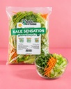 Kale Sensation