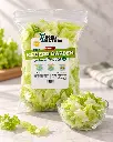 Iceberg Garden Dash Pack