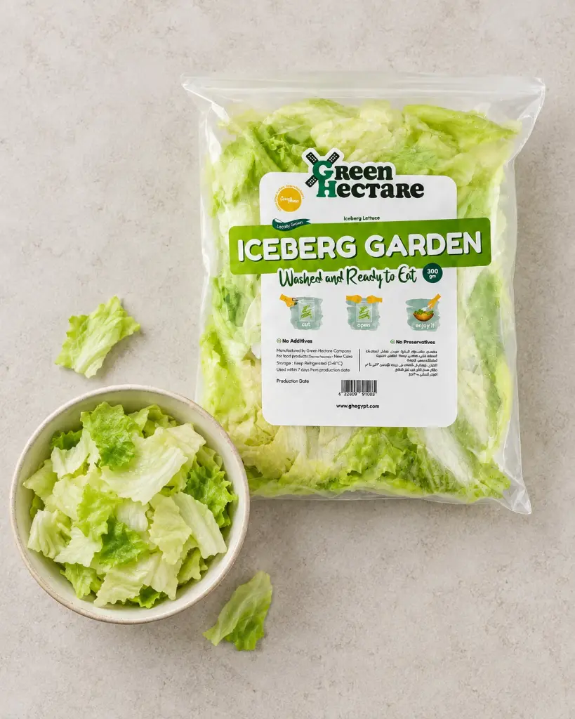 Iceberg Garden