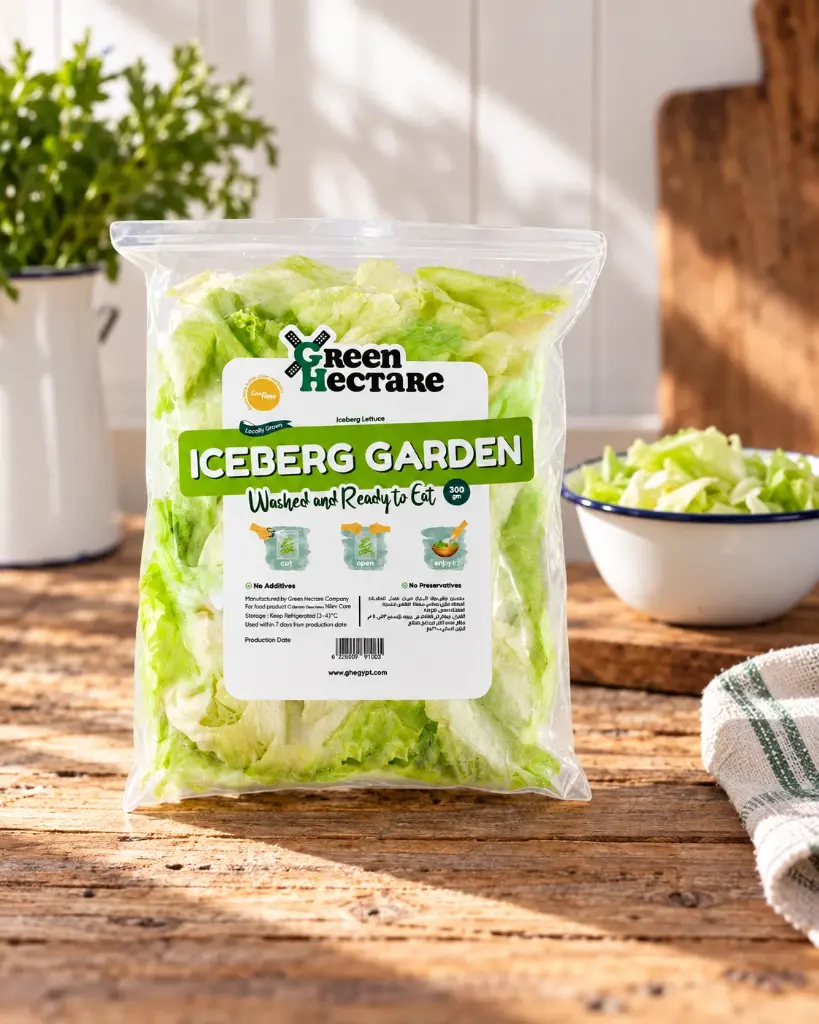 Iceberg Garden