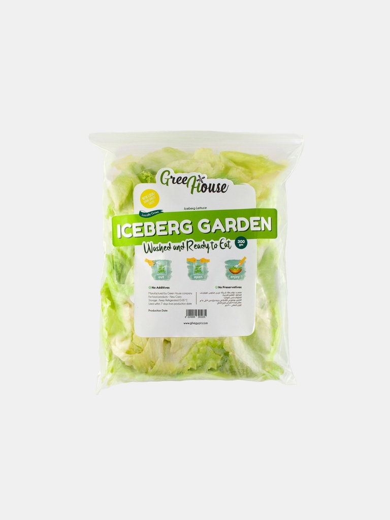 Iceberg Garden