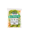 Kale Sensation