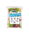 Romaine Passion