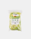 Iceberg Garden Dash Pack